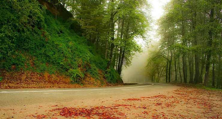 لوله بازکنی دالخانی و تخلیه چاه در دالخانی و جنگلهای دالخانی